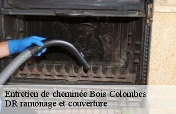Entretien de cheminée  bois-colombes-92270 DR ramonage et couverture 