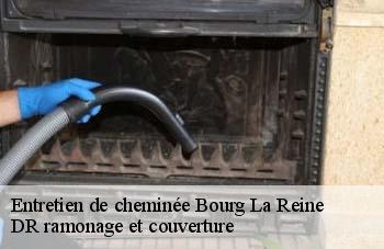 Entretien de cheminée  bourg-la-reine-92340 DR ramonage et couverture 