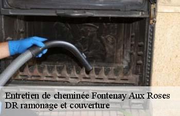 Entretien de cheminée  fontenay-aux-roses-92260 DR ramonage et couverture 
