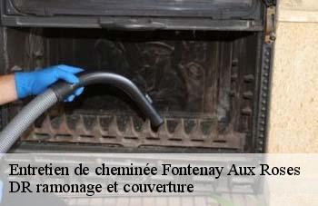 Entretien de cheminée fontenay-aux-roses-92260 DR ramonage et couverture