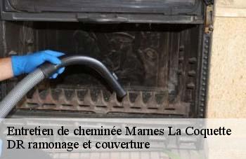 Entretien de cheminée  marnes-la-coquette-92430 DR ramonage et couverture 