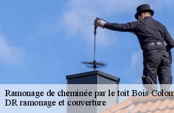 Ramonage de cheminée par le toit bois-colombes-92270 DR ramonage et couverture