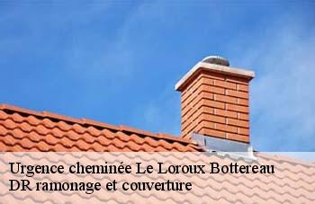 Urgence cheminée le-loroux-bottereau-44430 DR ramonage et couverture