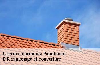 Urgence cheminée paimboeuf-44560 DR ramonage et couverture