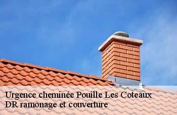 Urgence cheminée pouille-les-coteaux-44522 DR ramonage et couverture