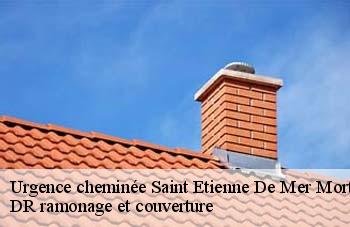 Urgence cheminée saint-etienne-de-mer-morte-44270 DR ramonage et couverture