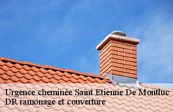 Urgence cheminée saint-etienne-de-montluc-44360 DR ramonage et couverture