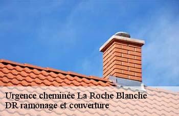 Urgence cheminée la-roche-blanche-44522 DR ramonage et couverture