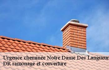 Urgence cheminée notre-dame-des-langueurs-44440 DR ramonage et couverture
