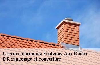 Urgence cheminée  fontenay-aux-roses-92260 DR ramonage et couverture 