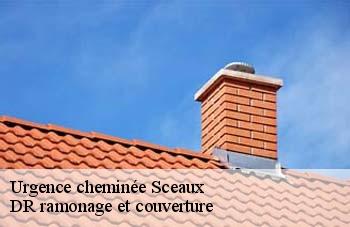 Urgence cheminée  sceaux-92330 DR ramonage et couverture 