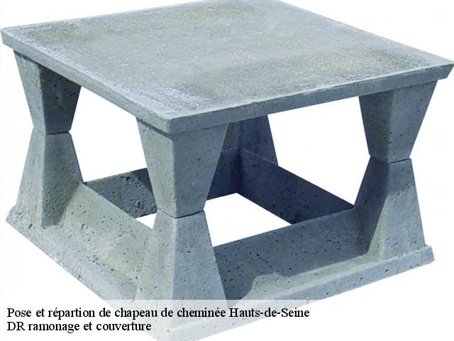 Pose et répartion de chapeau de cheminée 92 Hauts-de-Seine DR ramonage et couverture