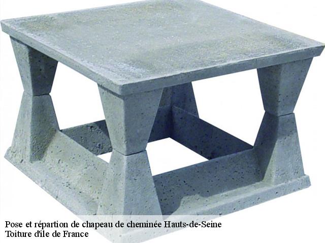 Pose et répartion de chapeau de cheminée 92 Hauts-de-Seine Toiture d'ile de France