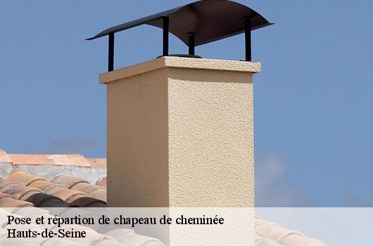 Pose et répartion de chapeau de cheminée Hauts-de-Seine 