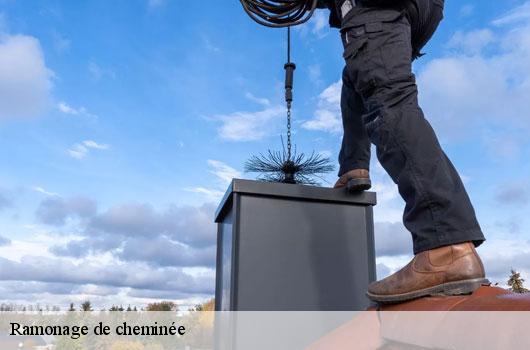 Ramonage de cheminée