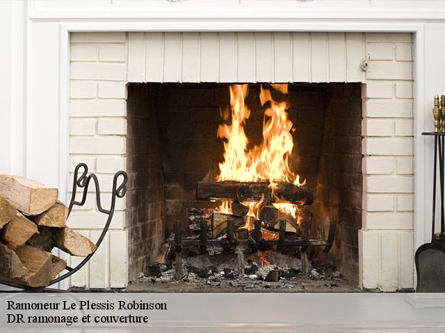 Ramoneur  le-plessis-robinson-92350 DR ramonage et couverture 