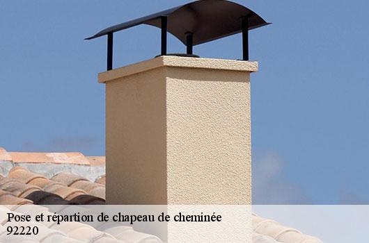 Pose et répartion de chapeau de cheminée  92220