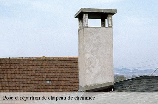 Pose et répartion de chapeau de cheminée